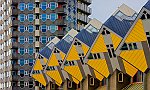 Marco Misuri-Windows and buildings